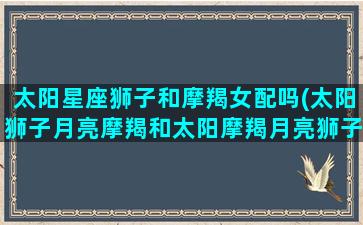 太阳星座狮子和摩羯女配吗(太阳狮子月亮摩羯和太阳摩羯月亮狮子)