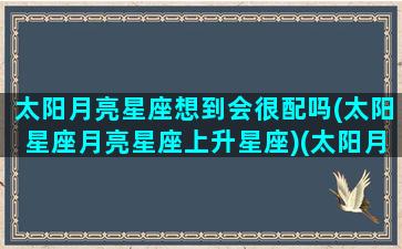 太阳月亮星座想到会很配吗(太阳星座月亮星座上升星座)(太阳月亮星座搭配)