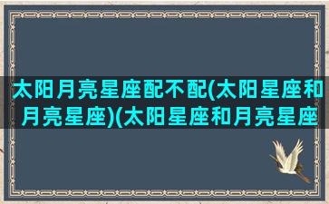 太阳月亮星座配不配(太阳星座和月亮星座)(太阳星座和月亮星座对冲会怎样)