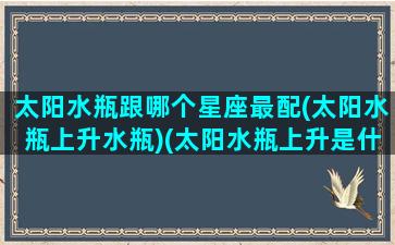 太阳水瓶跟哪个星座最配(太阳水瓶上升水瓶)(太阳水瓶上升是什么)