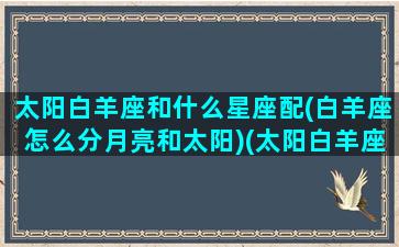 太阳白羊座和什么星座配(白羊座怎么分月亮和太阳)(太阳白羊座月亮是什么星座)