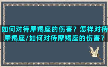 如何对待摩羯座的伤害？怎样对待摩羯座/如何对待摩羯座的伤害？怎样对待摩羯座-我的网站