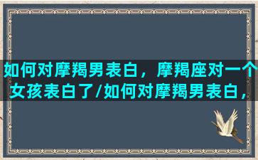 如何对摩羯男表白，摩羯座对一个女孩表白了/如何对摩羯男表白，摩羯座对一个女孩表白了-我的网站