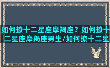 如何撩十二星座摩羯座？如何撩十二星座摩羯座男生/如何撩十二星座摩羯座？如何撩十二星座摩羯座男生-我的网站