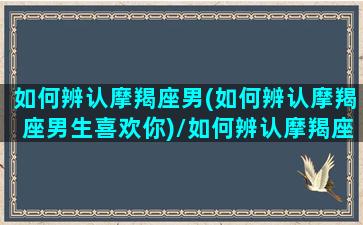 如何辨认摩羯座男(如何辨认摩羯座男生喜欢你)/如何辨认摩羯座男(如何辨认摩羯座男生喜欢你)-我的网站