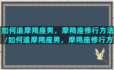 如何追摩羯座男，摩羯座修行方法/如何追摩羯座男，摩羯座修行方法-我的网站