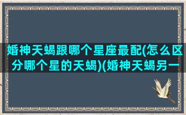 婚神天蝎跟哪个星座最配(怎么区分哪个星的天蝎)(婚神天蝎另一半特征)