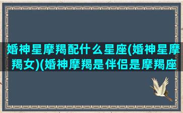 婚神星摩羯配什么星座(婚神星摩羯女)(婚神摩羯是伴侣是摩羯座吗)