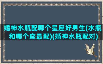 婚神水瓶配哪个星座好男生(水瓶和哪个座最配)(婚神水瓶配对)