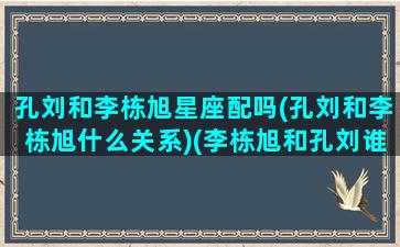 孔刘和李栋旭星座配吗(孔刘和李栋旭什么关系)(李栋旭和孔刘谁火)