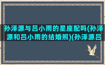 孙泽源与吕小雨的星座配吗(孙泽源和吕小雨的结婚照)(孙泽源吕小雨是什么关系)