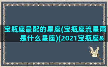 宝瓶座最配的星座(宝瓶座流星雨是什么星座)(2021宝瓶座η流星雨)