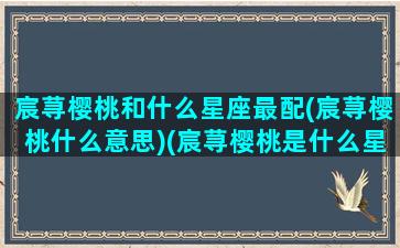 宸荨樱桃和什么星座最配(宸荨樱桃什么意思)(宸荨樱桃是什么星座)