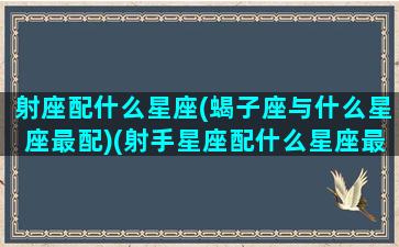 射座配什么星座(蝎子座与什么星座最配)(射手星座配什么星座最好)