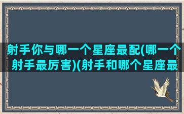 射手你与哪一个星座最配(哪一个射手最厉害)(射手和哪个星座最配排名)