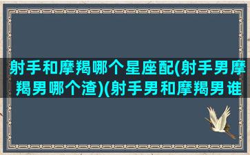 射手和摩羯哪个星座配(射手男摩羯男哪个渣)(射手男和摩羯男谁更聪明)