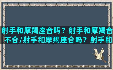 射手和摩羯座合吗？射手和摩羯合不合/射手和摩羯座合吗？射手和摩羯合不合-我的网站