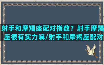 射手和摩羯座配对指数？射手摩羯座很有实力嘛/射手和摩羯座配对指数？射手摩羯座很有实力嘛-我的网站