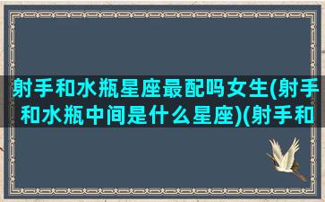 射手和水瓶星座最配吗女生(射手和水瓶中间是什么星座)(射手和水瓶之间的星座)