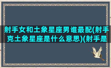 射手女和土象星座男谁最配(射手克土象星座是什么意思)(射手是土象还是火象)