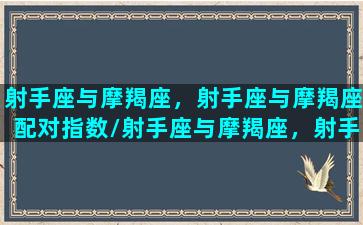 射手座与摩羯座，射手座与摩羯座配对指数/射手座与摩羯座，射手座与摩羯座配对指数-我的网站