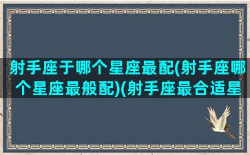 射手座于哪个星座最配(射手座哪个星座最般配)(射手座最合适星座)