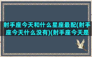 射手座今天和什么星座最配(射手座今天什么没有)(射手座今天是什么节日)