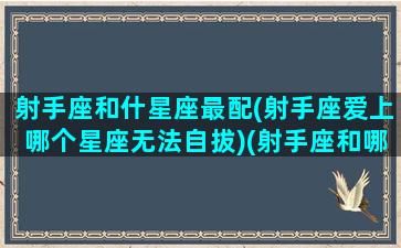 射手座和什星座最配(射手座爱上哪个星座无法自拔)(射手座和哪个星座最配最合适)