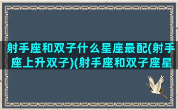 射手座和双子什么星座最配(射手座上升双子)(射手座和双子座星座最配对)