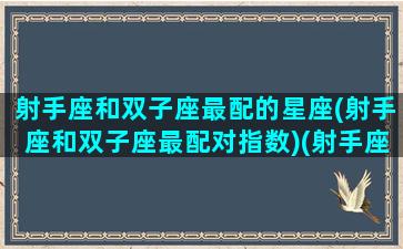 射手座和双子座最配的星座(射手座和双子座最配对指数)(射手座和双子座匹配程度)