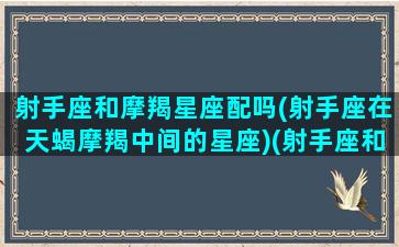 射手座和摩羯星座配吗(射手座在天蝎摩羯中间的星座)(射手座和摩羯座搭吗)