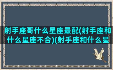 射手座哥什么星座最配(射手座和什么星座不合)(射手座和什么星座最配排行榜)