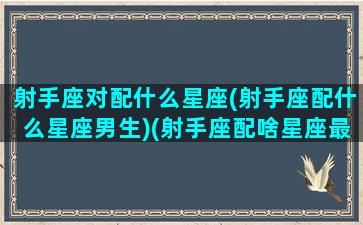 射手座对配什么星座(射手座配什么星座男生)(射手座配啥星座最好)