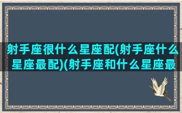 射手座很什么星座配(射手座什么星座最配)(射手座和什么星座最配做男女朋友)