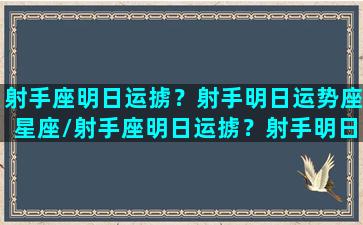 射手座明日运掳？射手明日运势座星座/射手座明日运掳？射手明日运势座星座-我的网站