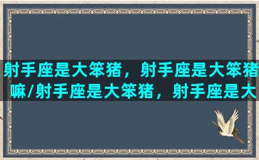 射手座是大笨猪，射手座是大笨猪嘛/射手座是大笨猪，射手座是大笨猪嘛-我的网站