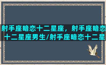 射手座暗恋十二星座，射手座暗恋十二星座男生/射手座暗恋十二星座，射手座暗恋十二星座男生-我的网站