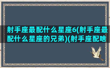 射手座最配什么星座6(射手座最配什么星座的兄弟)(射手座配啥星座最好)