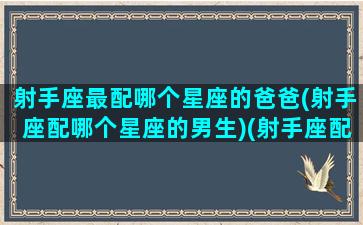 射手座最配哪个星座的爸爸(射手座配哪个星座的男生)(射手座配哪个星座最好)