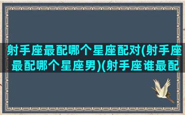 射手座最配哪个星座配对(射手座最配哪个星座男)(射手座谁最配)