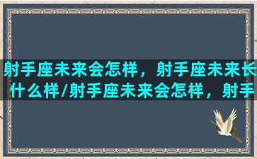 射手座未来会怎样，射手座未来长什么样/射手座未来会怎样，射手座未来长什么样-我的网站