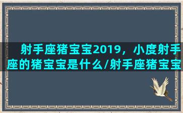 射手座猪宝宝2019，小度射手座的猪宝宝是什么/射手座猪宝宝2019，小度射手座的猪宝宝是什么-我的网站