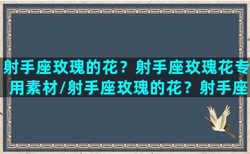 射手座玫瑰的花？射手座玫瑰花专用素材/射手座玫瑰的花？射手座玫瑰花专用素材-我的网站