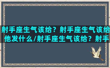 射手座生气该给？射手座生气该给他发什么/射手座生气该给？射手座生气该给他发什么-我的网站