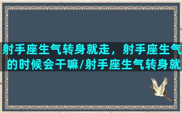 射手座生气转身就走，射手座生气的时候会干嘛/射手座生气转身就走，射手座生气的时候会干嘛-我的网站