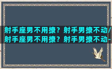 射手座男不用撩？射手男撩不动/射手座男不用撩？射手男撩不动-我的网站