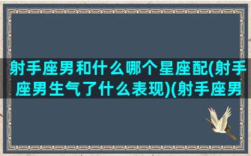 射手座男和什么哪个星座配(射手座男生气了什么表现)(射手座男与哪个星座最配)