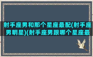 射手座男和那个星座最配(射手座男眀星)(射手座男跟哪个星座最配)