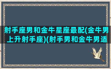 射手座男和金牛星座最配(金牛男上升射手座)(射手男和金牛男适合做朋友吗)