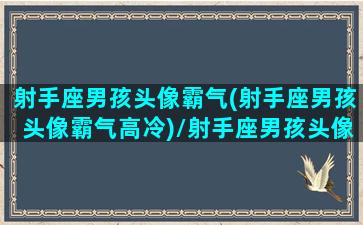 射手座男孩头像霸气(射手座男孩头像霸气高冷)/射手座男孩头像霸气(射手座男孩头像霸气高冷)-我的网站